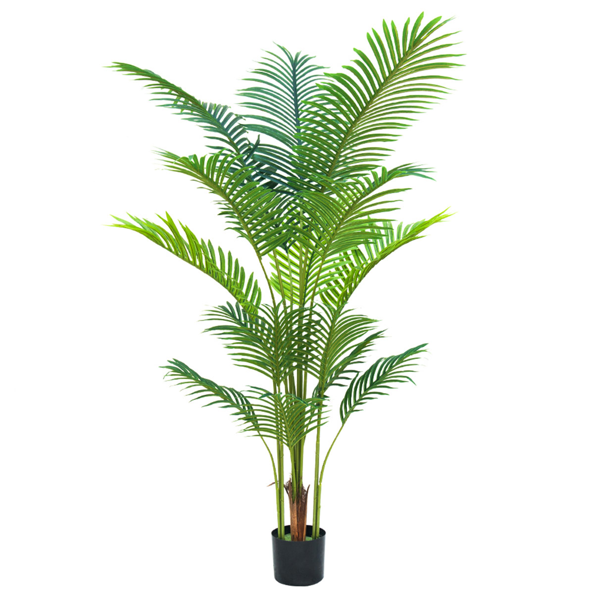 Fake Plant